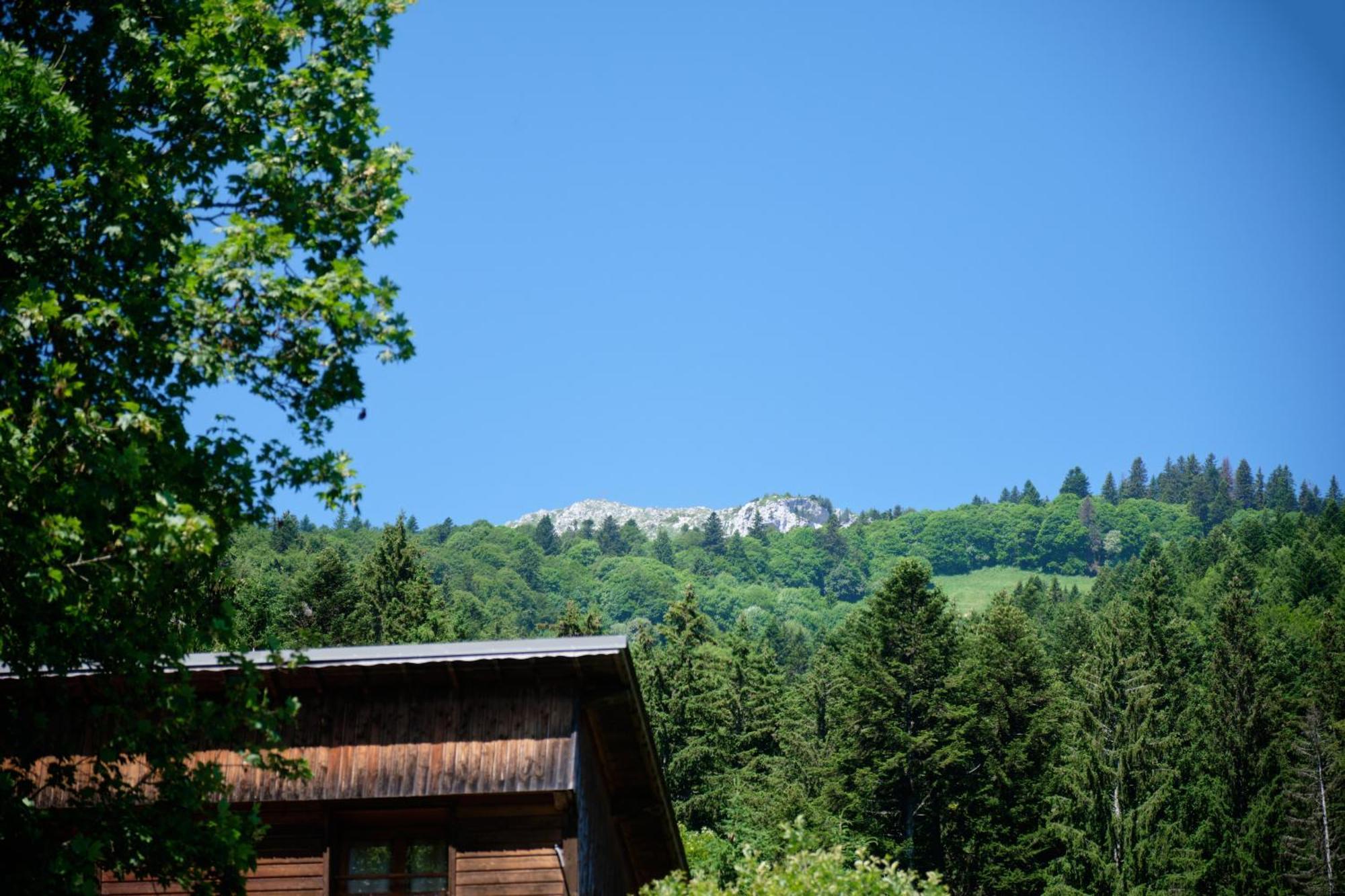 Chalet Le Lys Martagon Saint-Pierre-d'Entremont  외부 사진